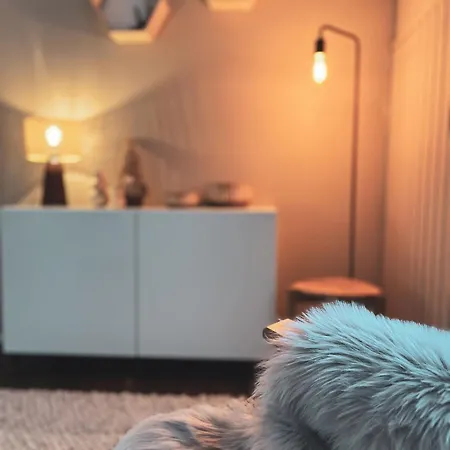 Talviranta - Lakefront - Ruka-pyhae 2x Skilift Passes Included - Free Skibus Doorstep Ruka