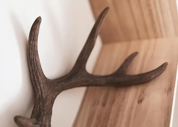 Apartamento Talviranta - Lakefront - Ruka-pyhae 2x Skilift Passes Included - Free Skibus Doorstep